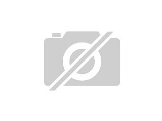 Suche zwergschnauzer welpe